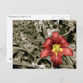 色のひと splash ポストカード (正面/裏面)