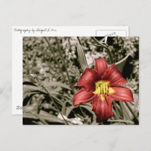 色のひと splash ポストカード (正面/裏面)