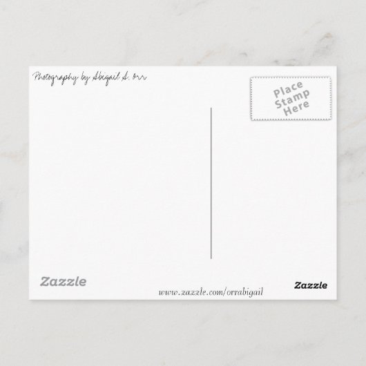 色のひと splash ポストカード (裏面)