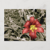 色のひと splash ポストカード (正面)