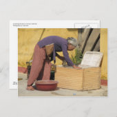 色のまろやかさ ポストカード (正面/裏面)