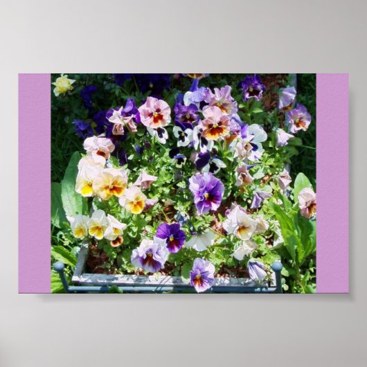 色のスプラッシュ ポスター (正面)