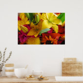 色のバーストのポスター ポスター (キッチン)