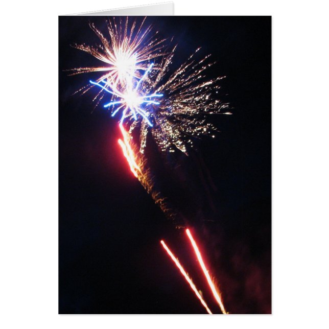 色のパナッシュ (正面)