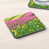 色のフィールド コースター (左側)