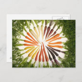 色の付いたニンジン ポストカード (正面/裏面)