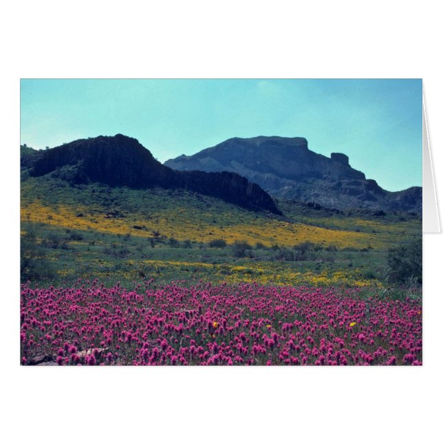 色の付いた勾配 (正面横)