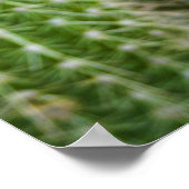 色の単位 ポスター (角)