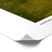 色の変化 ポスター (角)