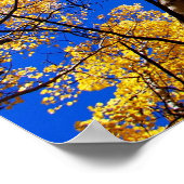 色の夢 ポスター (角)