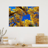 色の夢 ポスター (キッチン)