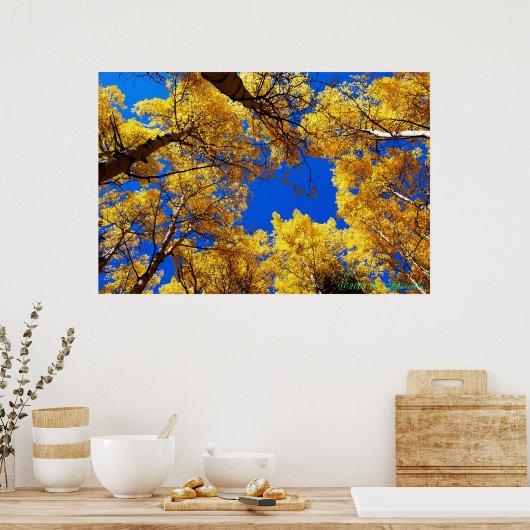 色の夢 ポスター (キッチン)