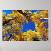 色の夢 ポスター (正面)