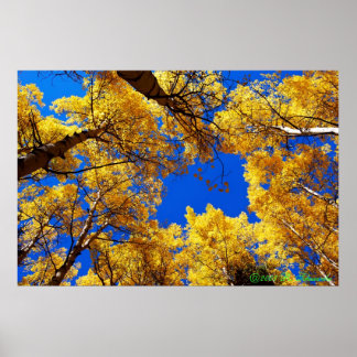 色の夢 ポスター