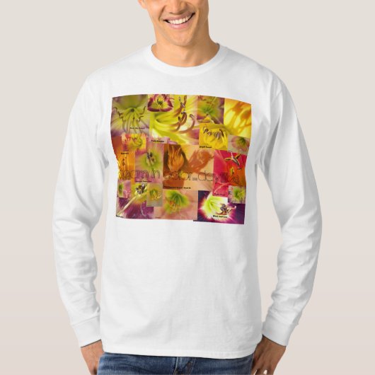 色の夢 Tシャツ (正面)