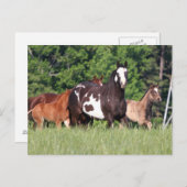 色の小さな群違うれ ポストカード (正面/裏面)