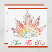 色の数々のもみじ葉セーブ・ザ・デート案内 セーブザデート (正面/裏面)