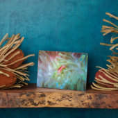 色の数々のアネモン フォトプラーク (側面)