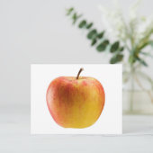 色の数々のリンゴ ポストカード (スタンド正面)