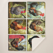 色の数々のローター シェルパブランケット (正面)