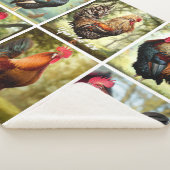 色の数々のローター シェルパブランケット (3/4)