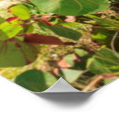 色の数々の木のコテージ |ロングベイビーチ ポスター (角)