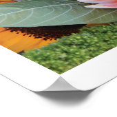 色の数々の花の畑 ポスター (角)