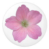 色の植物のピンクのゼラニウムの花 セラミックノブ (正面)