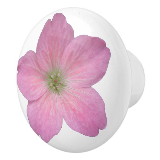 色の植物のピンクのゼラニウムの花 セラミックノブ (右)