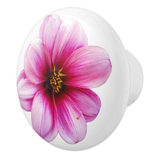 色の植物のピンクのダリアの花 セラミックノブ (右)