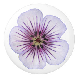 色の植物の淡いブルーのゼラニウムの花 セラミックノブ