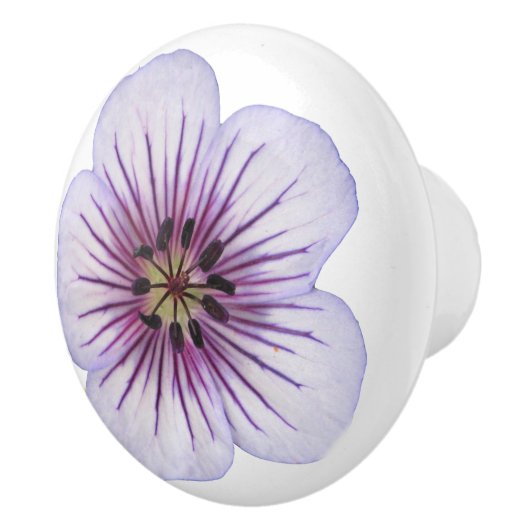 色の植物の淡いブルーのゼラニウムの花 セラミックノブ (右)