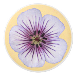 色の植物の淡いブルーのゼラニウムの花 セラミックノブ