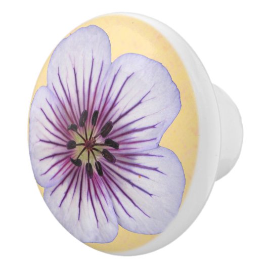 色の植物の淡いブルーのゼラニウムの花 セラミックノブ (右)