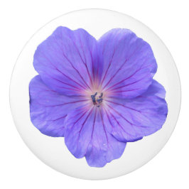 色の植物の青いゼラニウムの花 セラミックノブ