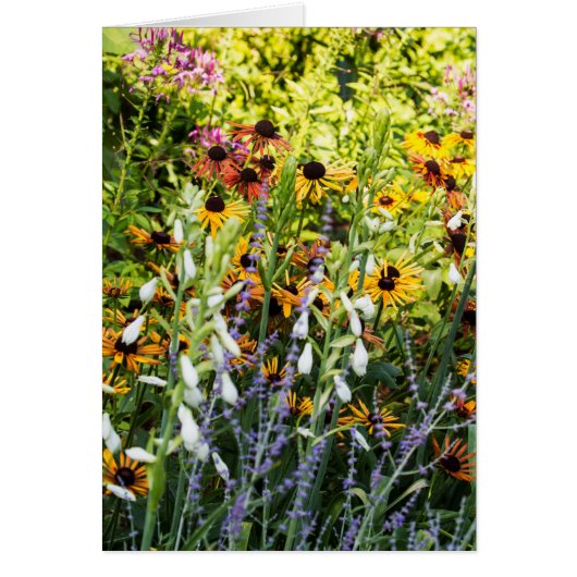 色の殺到 (正面)