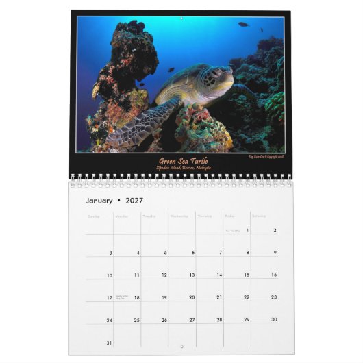 色の海洋 カレンダー (1月 2027)