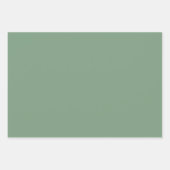 色の無地のバジル煙の緑 ラッピングペーパーシート (正面)