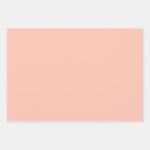 色の無地のプレーンシンプル繊細なトロピカルピーチ ラッピングペーパーシート (正面3)