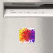 色の爆発 マグネット (インサイチュ (食洗機))