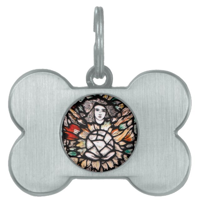 色の瞑想。 ペットネームタグ (正面)