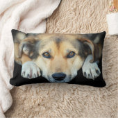 色の背景のかわいい犬 ランバークッション (ブランケット)