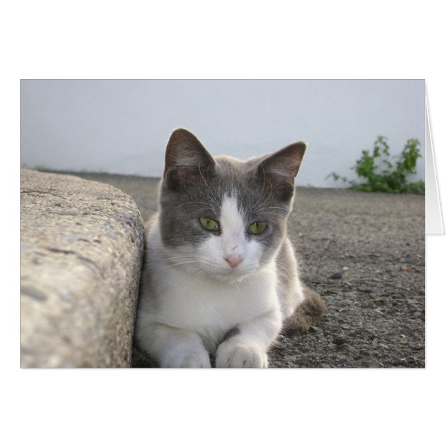 "色の芽" (正面横)