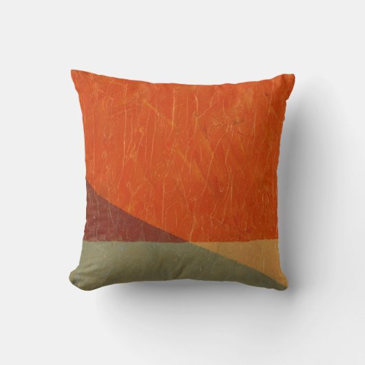 色の見通し クッション (正面)