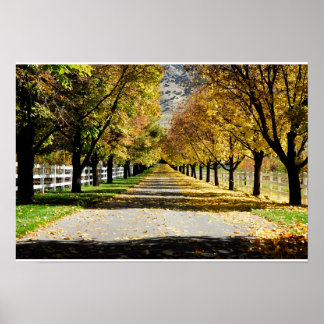 色の道 ポスター