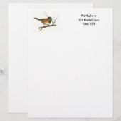 色の鉛筆のユキヒメドリ: 鳥: レターヘッド (正面/裏面)