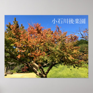 色もみじの木 ポスター
