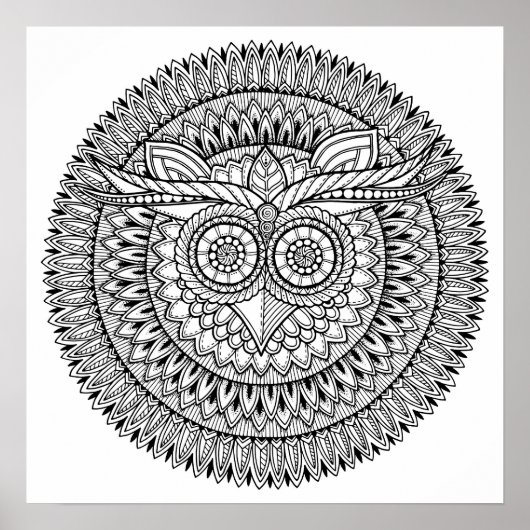 色を付けるポスターフクロウ ポスター (正面)