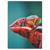 色を変えるレインボーカメレオン爬虫類 クリップボード (裏面)