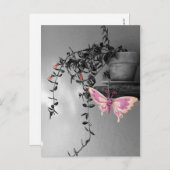 色を感じる蝶の静物写真 ポストカード (正面/裏面)